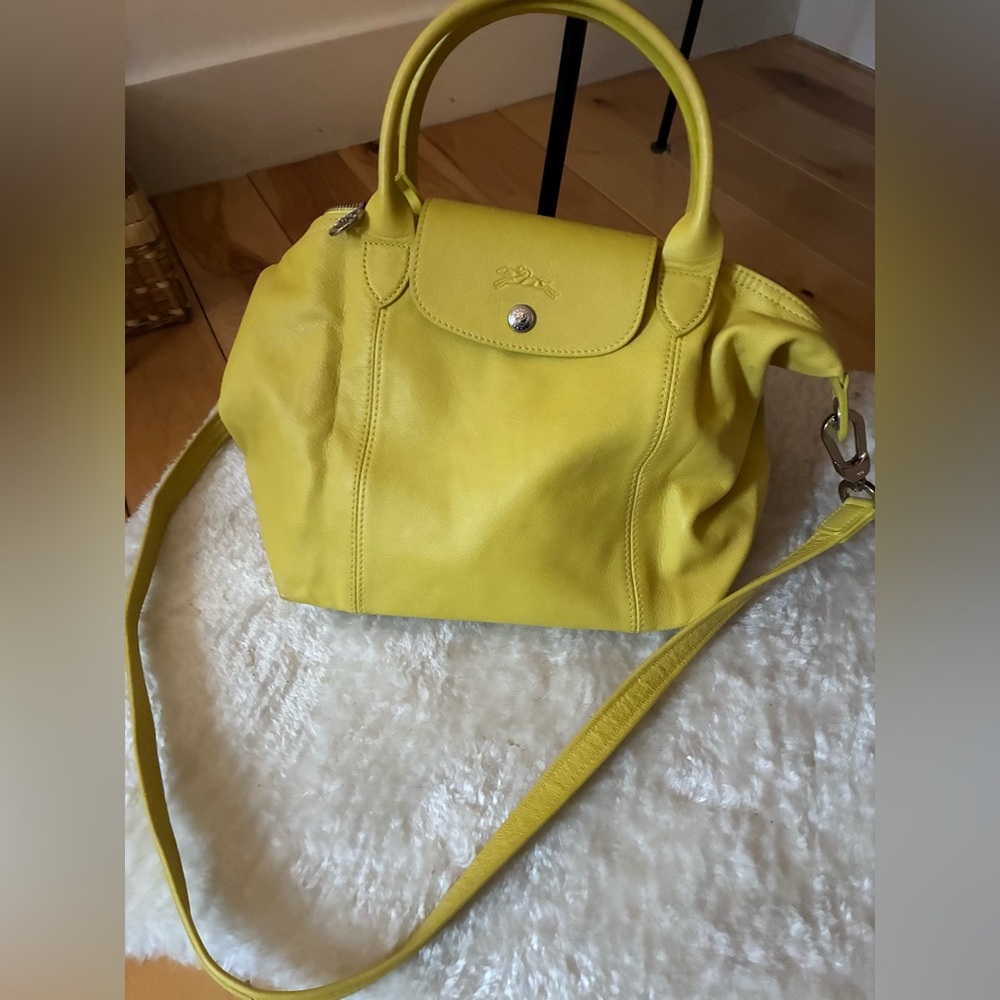 Longchamp leather Le Pliage
